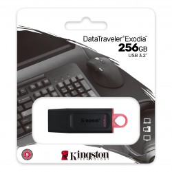 KINGSTON USB FLASH MEMORIJE 256GB USB 3.2 EXODIA DTX/256GB